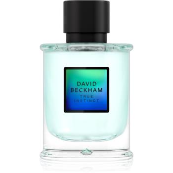 David Beckham True Instinct parfémovaná voda pro muže 75 ml