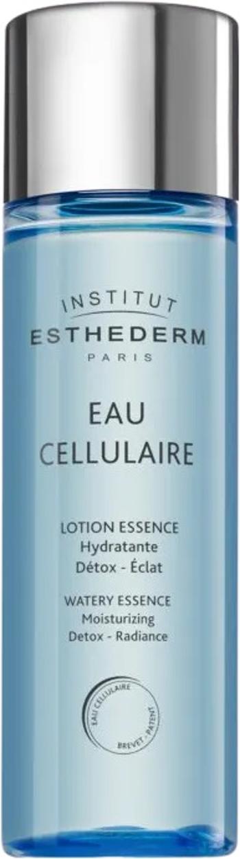 Institut Esthederm Detoxikační a hydratační pleťová esence (Watery Essence) 125 ml