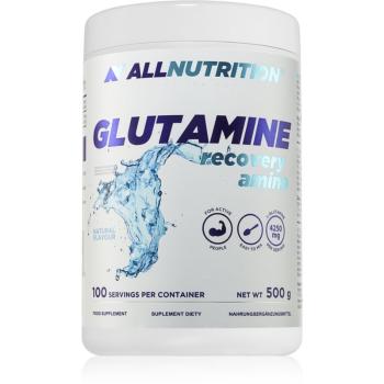 Allnutrition Glutamine Recovery Amino regenerace a růst svalů příchuť Natural 500 g