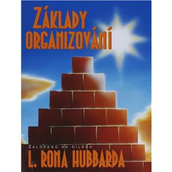 Základy organizování (9788779689510)