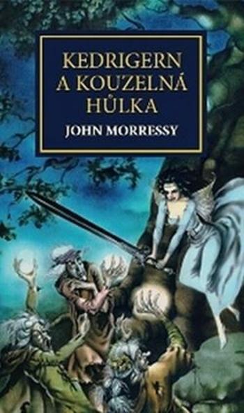 Kedrigern a kouzelná hůlka - John Morressy