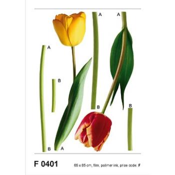 F0401 Samolepicí dekorace 2 TULIPS 65 x 85 cm (F0401)