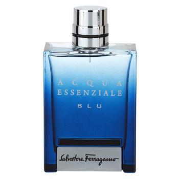 Ferragamo Acqua Essenziale Blu toaletní voda pro muže 100 ml