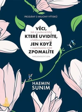 Věci, které uvidíte, jen když zpomalíte (Defekt) - Haemin Sunim