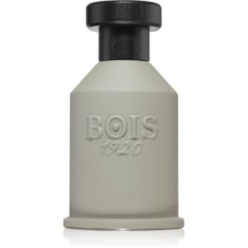 Bois 1920 Itruk parfémovaná voda unisex 100 ml