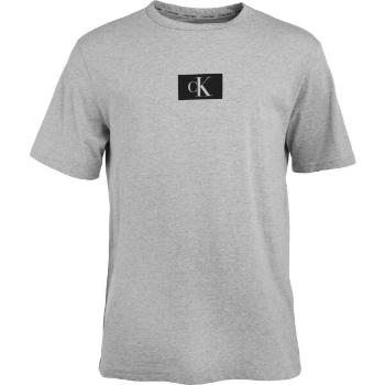 Calvin Klein ´96 GRAPHIC TEES-S/S CREW NECK Pánské tričko, šedá, velikost