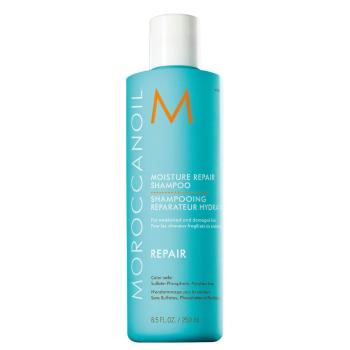 Moroccanoil Regenerační šampon s obsahem arganového oleje na slabé a poškozené vlasy (Moisture Repair Shampoo) 70 ml