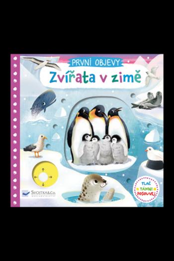 PRVNÍ OBJEVY - Zvířata v zimě  Jenny Wren - Jenny Wren