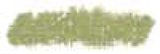 Sennelier olejový pastel 5ml – 046 Olive Green