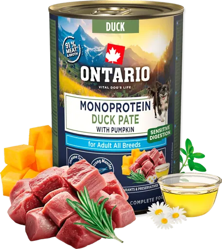 Konzerva Ontario Adult Monoprotein kachní pate s dýní 400g
