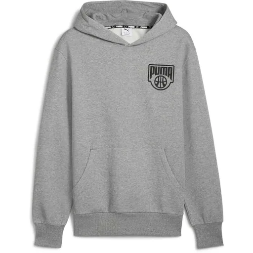 Puma POSTERIZE HOODIE Pánská mikina, šedá, velikost