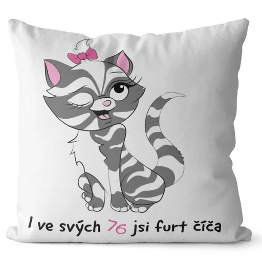 Polštář Jsi číča (Velikost: 55 x 55 cm, věk: 76)