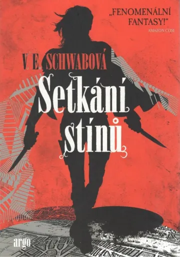Setkání stínů - Victoria E. Schwabová