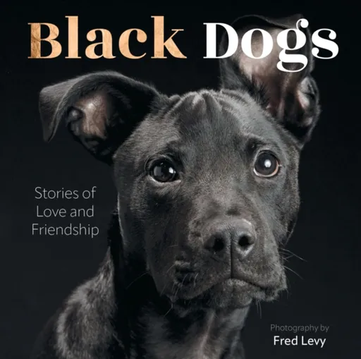 Black Dogs - Fred Levy