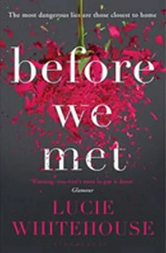 Before We Met - Lucie Whitehouse