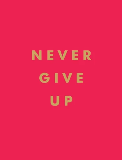Never Give Up - Summersdale Publishers