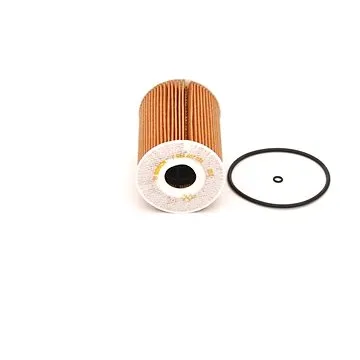 BOSCH Olejový filtr F 026 407 076 (F026407076)