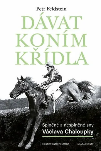 Dávat koním křídla - Petr Feldstein