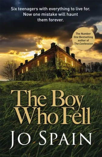 The Boy Who Fell - Jo Spain