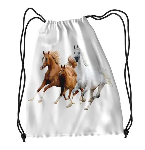 Vak na záda Koňská rodinka