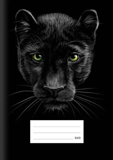 Školní sešit LUX A5 540