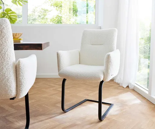 Jídelní židle Jova-Flex s područkami konzolová podnož plochá