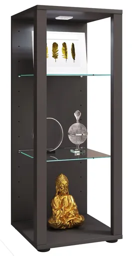 VCM Vitrína Glasol M, antracitová