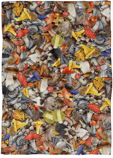 Deka Houby houby houby (Podšití beránkem: NE)