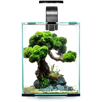 Aquael Shrimp Set Smart 10 Day