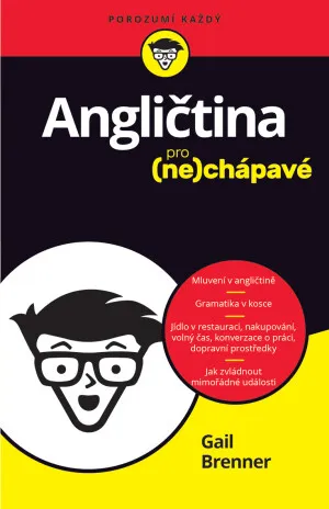 Angličtina pro nechápavé  Gail Brenner - Gail Brenner