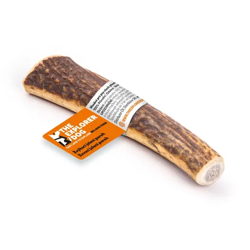 Explorer dog Žvýkací jelení paroh S tvrdý