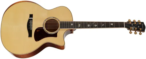 Eastman AC622CE (použité)