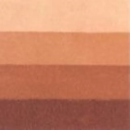 Grafická barva Charbonnel 200ml – burnt sienna