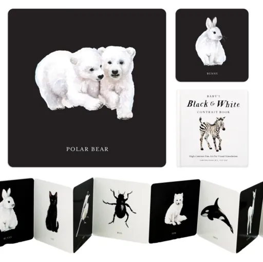Baby's Black and White Contrast Book - Tabitha Paige