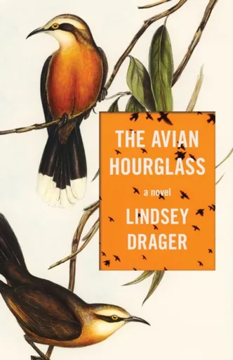 The Avian Hourglass - Lindsey Drager