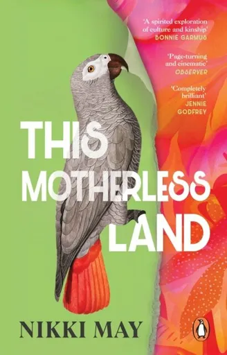 This Motherless Land - Nikki May