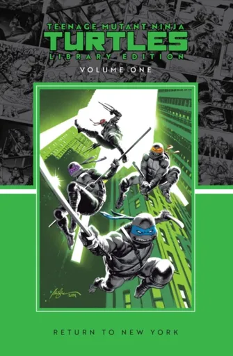 Teenage Mutant Ninja Turtles, Vol. 1: Return to New York Library Edition - Jason Aaron, Joelle Jones