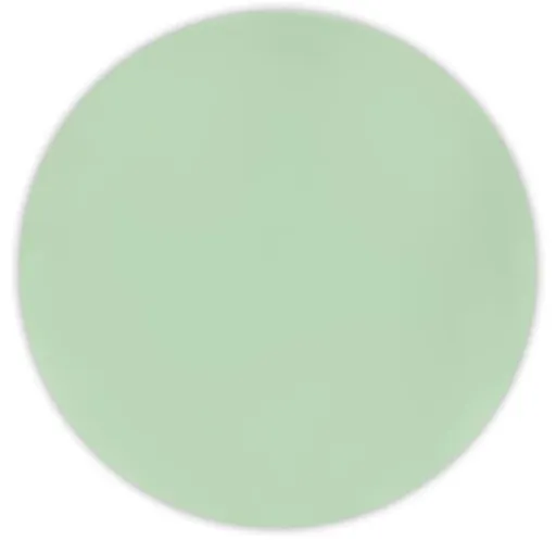 PROCOS Plastový talíř DECORATA 25cm sv.zelený 2ks