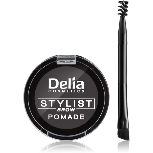Delia Cosmetics Eyebrow Expert pomáda na obočí odstín Graphite 4 g