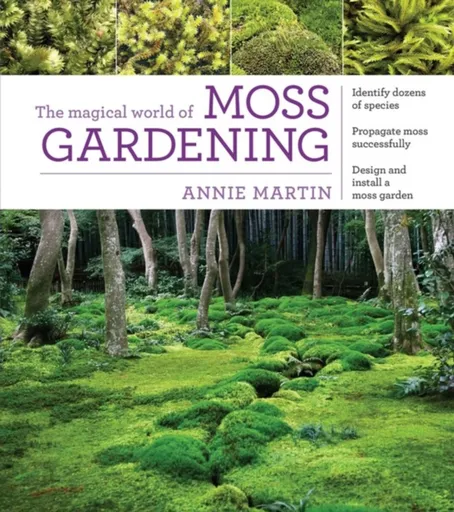 The Magical World of Moss Gardening - Annie Martin