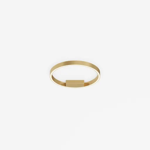 MAYTONI Stropní svítidlo Rim 24W MOD058CL-L25BSK