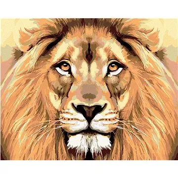Malování podle čísel - Lví pohled (HRAmal00496nad)