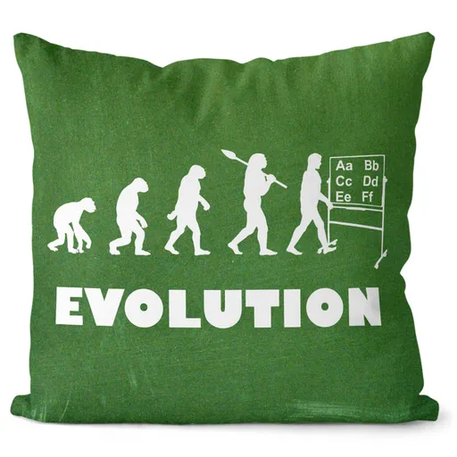 Polštář Evoluce učitelé (Velikost: 40 x 40 cm)