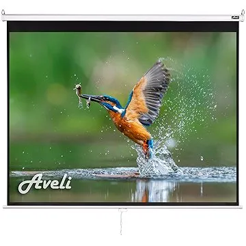 AVELI roleta, 175x131cm (4:3) (XRT-00103)