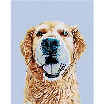 Diamondi - Diamantové malování - ZLATÝ RETRÍVR, 40x50 cm, bez rámu a bez vypnutí plátna (603410A)