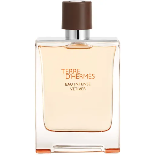 HERMÈS Terre d’Hermès Eau Intense Vétiver parfémovaná voda pro muže 100 ml