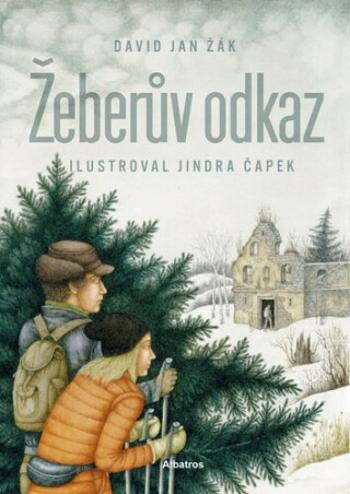 Žeberův odkaz (Defekt) - David Jan Žák