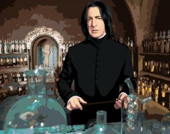 Zuty Malování podle čísel Severus Snape ve třídě lektvarů (Harry Potter)