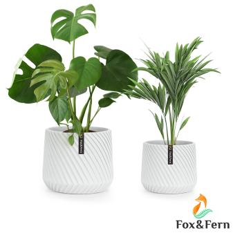 Fox & Fern Heusden, sada 2 květináčů, polyston, vhodný na rostliny, ruční výroba, 3D vzhled