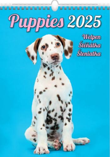 Kalendář nástěnný 2025 - Puppies / Welpen / Štěňátka / Šteniatka